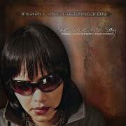 Terri Lyne Carrington More To Say Feat George Duke Dwight Sills