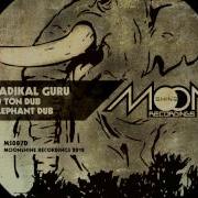 Radikal Guru Elephant Dub