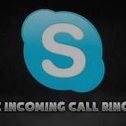Skype Call 1 Hour