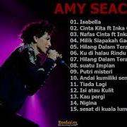 Amy Search