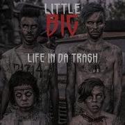 Little Big Life In Da Trash