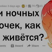 Сын Шлюзи