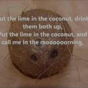 Lim And The Coconut Song