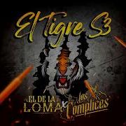 El Tigr 3 H