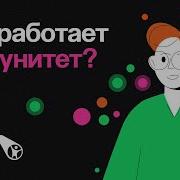 Как Работает Иммунитет