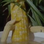 Corn Hub