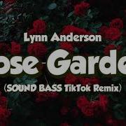 Linn Anderson Rose Garden Remix