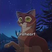 Warrior Cats Warriorsspirit Warriorcats