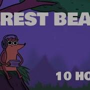 Forest Beats Chill 10 Hours