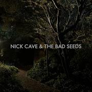 Give Us A Kiss Nick Cave The Bad Seeds