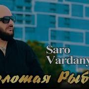 Saro Vardanyan 2024