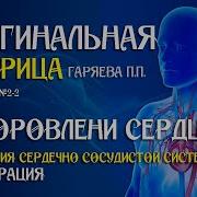 Матрица Гаряева Программа 2 2 Коррекция Cердечно Сосудистой Системы