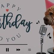 Dog Barking Happy Birthday Song Happy Birthday To You Dog Singing Video Cool Animals