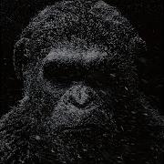 Dark Minimal Techno Trip Live Radio 24 7 Dark Monkey Music