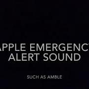 Phone Alert Sound Effect