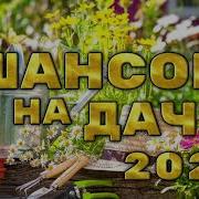 Шансон На Дачу