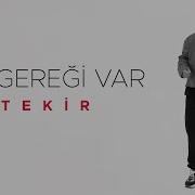 Tekir Ne Gereği Var Official Video