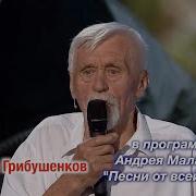 Седые Мужчины