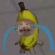 Плачущий Кот Банан