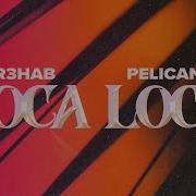 Loca Loca Record Mix R3Hab Pelican