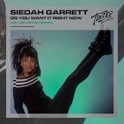 Siedah Garrett Do You Want It Right Now Jolyon Petch Remix