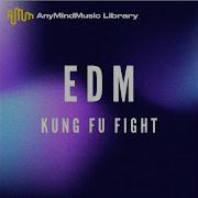 Edm Kung Fu Fight