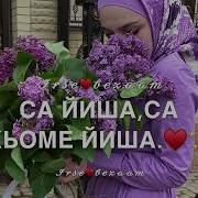 Чеченские Слова Поздравление Сестре