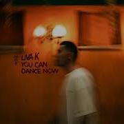 You Can Dance Now Original Mix Liva K