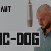 Loc Dog Стрела