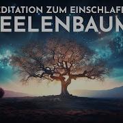 Meditation Zum Einschlafen Erfahre Erdung Balance Und Heilung Durch Die Energie Der Bäume Chakratunes Raphael Kempermann