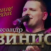 Александр Звинцов Альбом