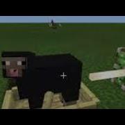 Ballin Minecraft Sheep Ai Cover