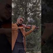 Violin Mehdi Habibi