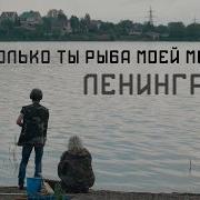 Только Ты Рыба Моей Мечты