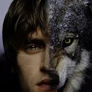 8 Признаков Того Что Ты Волк Среди Овец