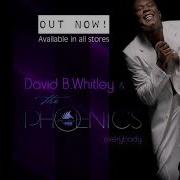 David B Whitley The Phoenics Everybody