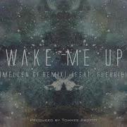 Tommee Profitt Wake Me Up Mellen Gi Remix