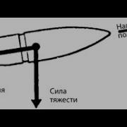 У Пули Правила Простые