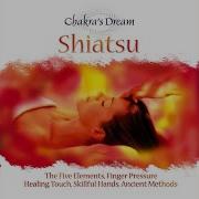 Shiatsu Chakra S Dream