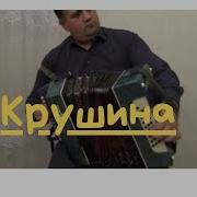 Обыкновенный Анс Крушина