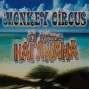 Monkey Circus Hafanana
