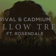 Willow Tree Feat Rosendale Rival Cadmium