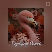 Enjoying Gucci Yamagucci Enjoying Gucci