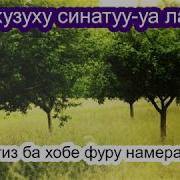 Хондани Ин Сура Ҳар Субҳу Шом Шуморо Аз Шайтон Дур Мегардонад