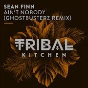 Sean Finn Ain T Nobody Ghostbusterz Rmx