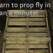 Hl2 Flies