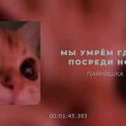 Мне Очень Жаль Что Мы Умрем Где То Посреди Ночи