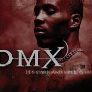 Dmx Cats And Dogs