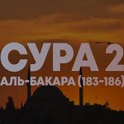 Бакара183 186