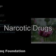 Narcotic Active Zone 2001 256 Kbps